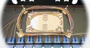 Bandeja preconectorizada
