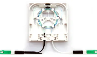 El perro ha mordido el latiguillo